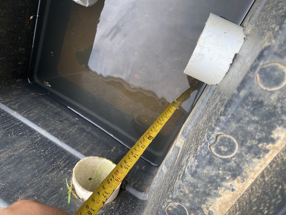 Water ponding, recorded on a handover inspection in Riverstone